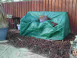 bench covered for winter